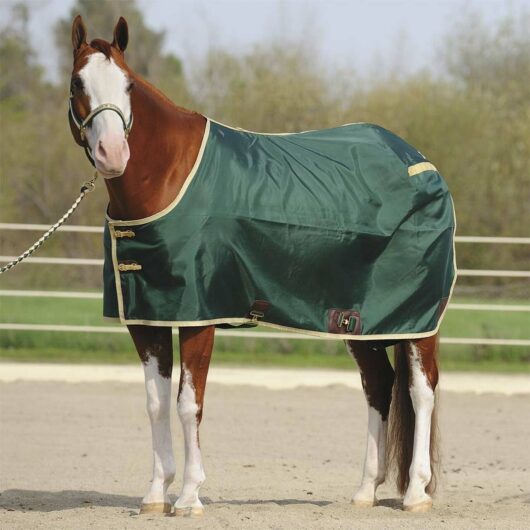 Big D-420 Denier Nylon Stable Sheet- open front w/buckles (5)