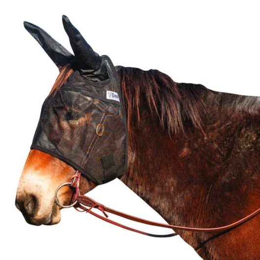 CASHEL - Quiet Ride Fly Mask w/ Ears Warmblood Black (QRWBSE)