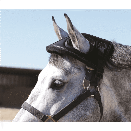 CASHEL - HORSE HELMET (HH-BLA)